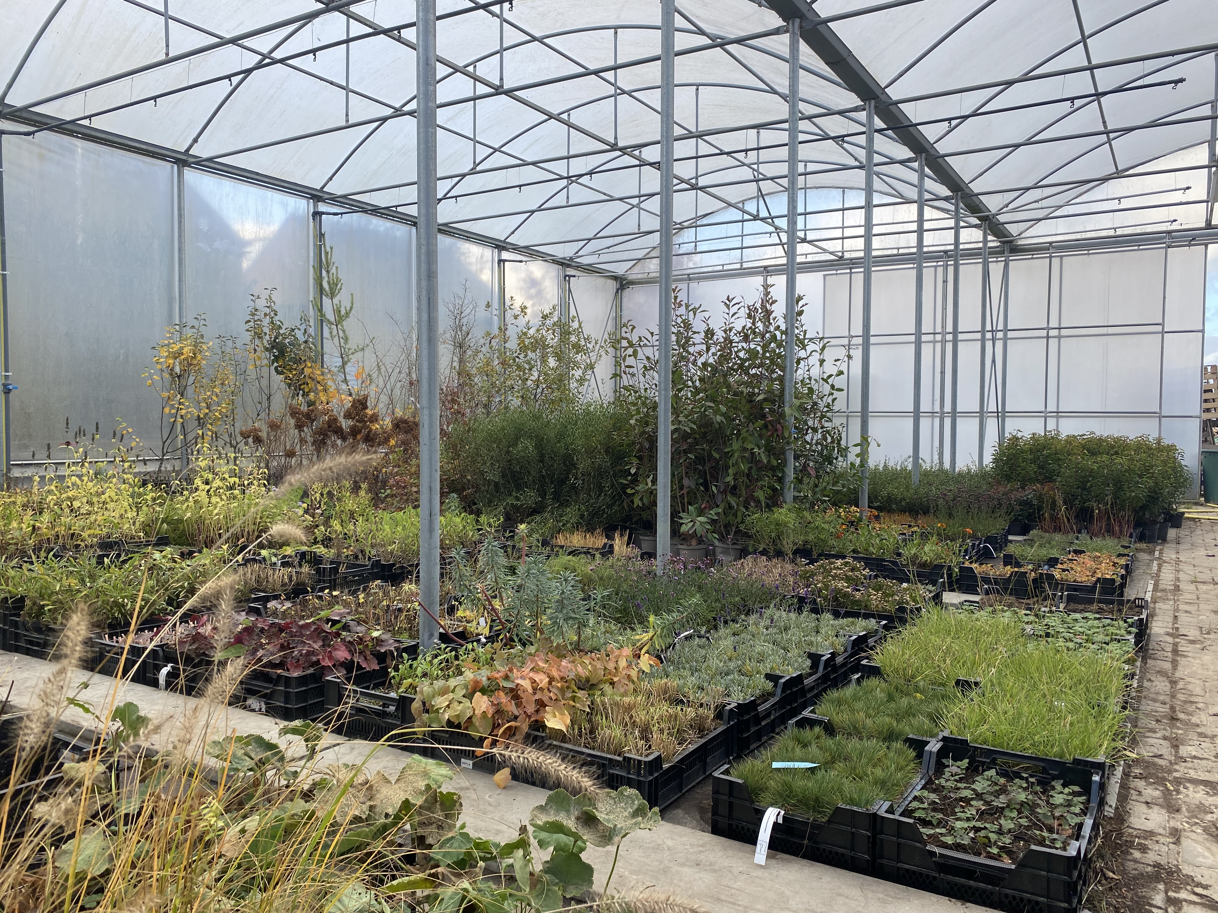 Beplanting